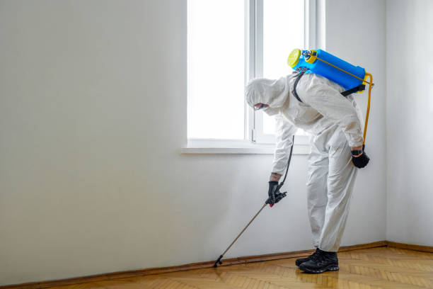 Pest Control for Restaurants in South Bradenton, FL
