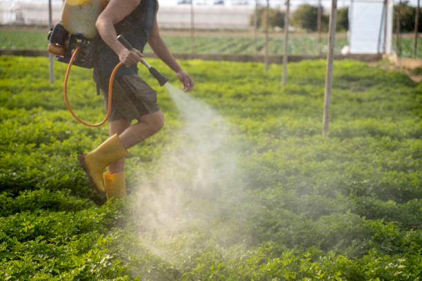 Best Residential Pest Control  in South Bradenton, FL