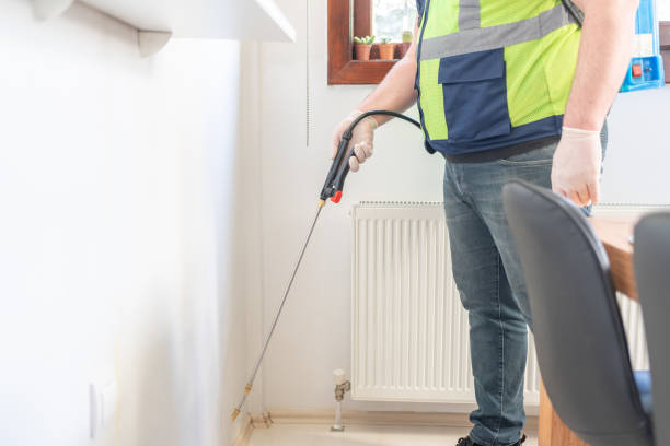 Best Pest Removal Services  in South Bradenton, FL