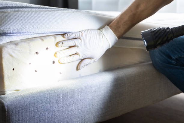 Best Commercial Pest Control Services  in South Bradenton, FL