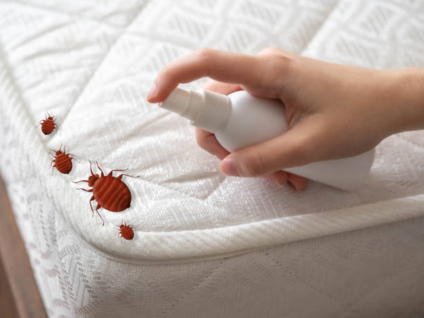 South Bradenton, FL Pest Control Company